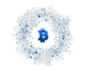 虚拟化软件无法实现的挑战与机遇，虚拟化软件不可实现