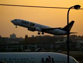 中国航空运输业发展报告，前20名机场吞吐量分析，我国机场吞吐量