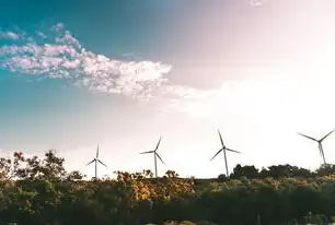 提高资源利用效率，从理论到实践的全景探索，资源利用效率低为什么不利于产业结构调整