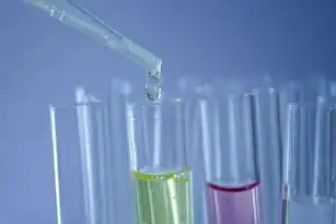 高效网络性能评估，探索在线压力测试工具的无限可能，在线压力测试工具有哪些