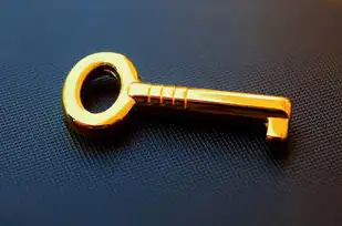动态网站整站源码下载器的全面解析与使用指南，动态网站整站源码下载器怎么用