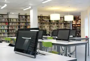 实用计算机视觉项目解析报告，从数据采集到深度学习模型的构建与优化，实用计算机视觉项目解析报告范文