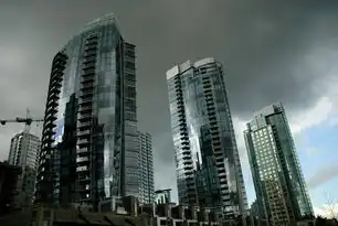 山东省世纪泰华智慧城市建设纪实，山东世纪泰华文化旅游发展有限公司