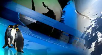 中企动力，助力企业腾飞，打造行业领先SEO解决方案，中企动力的网站如何