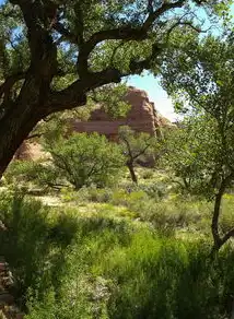 探索自然之美，打造完美的旅游景区网站，旅游网站源代码模板