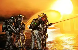 采用大字体显示武警部队，下方配有英文翻译China Armed Police Forces。武警部队网站源码查询