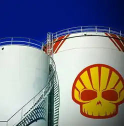 容器技术与虚拟化技术的全面比较，性能、成本与安全性分析，容器与虚拟化技术优缺点对比研究方法
