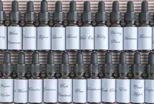 行业分类与市场分析，探索不同行业的机遇与挑战，行业类型有几种类型