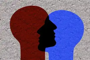 如何快速掌握SEO技巧，从入门到精通，怎样才能会说话 会交流