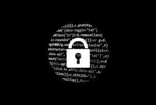 典当行网站源码解析—从代码到用户体验的全景展示，典当行网站源码查询