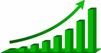 SEO在数字时代的重要性，提升网站可见度与转化率的关键策略，简述SEO的作用