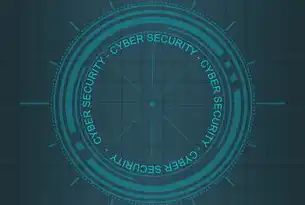 数据隐私保护技术分析，从加密到匿名化，数据隐私保护技术分析怎么写