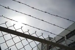 桌面服务，智慧生活管家—智能家庭管理系统，桌面的服务名称是什么