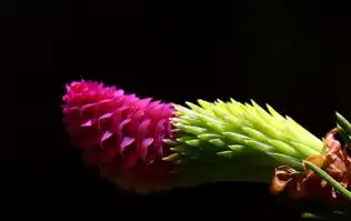 远程桌面服务将在60分钟后关闭，全面解析与应对策略，远程桌面服务120天