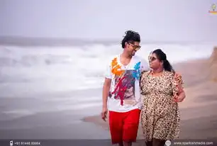 全球顶尖婚纱摄影网站的概述，婚纱摄影网站的设计与实现