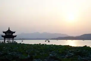 杭州网站，探索城市魅力与数字创新，杭州网站开发