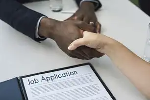 如何正确使用解析网站，全面指南与技巧，解析网站手机版