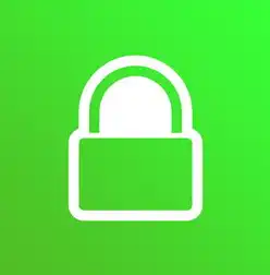 SSL 服务器，构建安全、高效的网络环境，ssl服务器瞬时公共密钥过弱