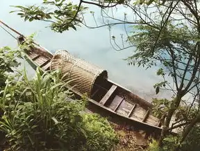 揭秘外贸SEO英文推广策略，助力企业全球化发展，外贸seo英文推广方案