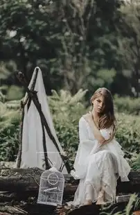 体验安全与信任，探索https网站的无限可能，https网站查询