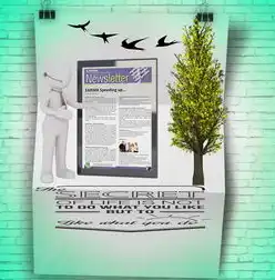 网站PHP源码破解版，揭秘背后的技术秘密与风险防范，网站php源码破解授权