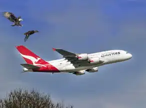 航空运输吞吐量的定义与意义，航空运输吞吐量是什么意思啊英文