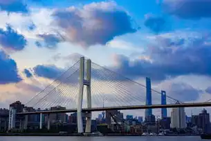 上海，东方之珠的魅力与活力，上海 城市关键词