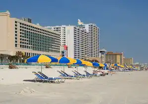 青岛旅游攻略，探索海滨城市的魅力与活力，青岛网站设计公司哪家好