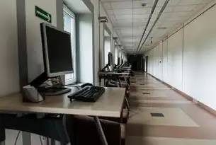 公司服务器迁移至国外的利与弊分析及实施策略，服务器放国外的好处