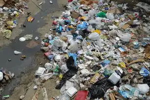 建筑垃圾资源化利用率的提升与可持续发展，建筑垃圾资源化利用率怎么算