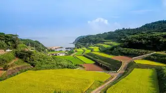 村社区后备干部发展前景分析，机遇与挑战并存，村社区后备干部的发展前景如何呢