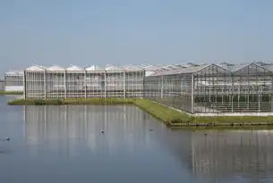 农业大棚自动收缩棚，科技助力现代农业发展新篇章，收缩大棚怎么弄