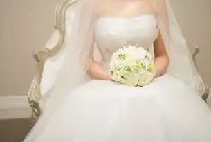 婚礼网站，打造完美婚礼的全方位指南，婚礼网站有哪些