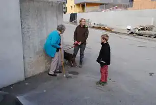 社区里的温馨故事，邻里间的温暖与互助，社区里的人们互相认识都很友好英文