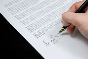 常用数据备份方案的详细解析与实施指南，数据备份方案两大因素