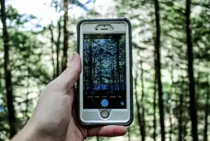 iPhone数据恢复软件免费版的全面指南，轻松找回丢失的数据，ios数据恢复软件免费版
