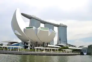新加坡服务器，构建高效、稳定的数据中心解决方案，香港服务器和新加坡服务器