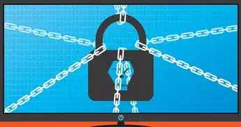 应用软件安全报告，全面剖析与防护策略，应用软件安全报告怎么写