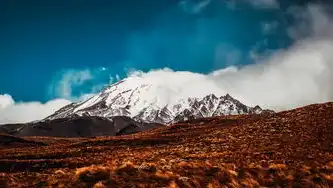 远程桌面服务120天，探索与成长的旅程，远程桌面服务120天怎么设置