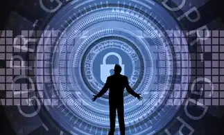 数据安全的使命与挑战，守护数字世界的秘密，数据安全是啥