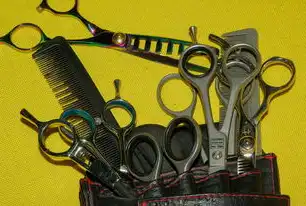 SEO常用工具，揭秘提升网站排名的秘密武器，seo常用工具网站