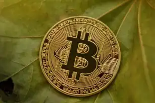 SEO 外链，现代搜索引擎优化中的关键因素，seo现在还需要外链吗知乎