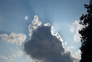 科技与自然，和谐共生的未来，生成关键词云图