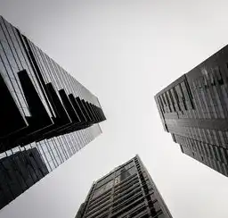香港高防服务器的优势与选择指南，香港的高防服务器有哪些