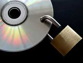 数据备份磁带的秘密，揭秘存储技术中的安全与效率，数据备份磁带中标怎么弄