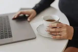 从零搭建高效轻量级服务器，基于Linux的Web服务部署实战指南，简单服务器模板下载