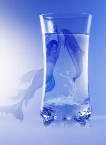 个性化头像定制，打造独特的网络形象，头像网站源码模板怎么用