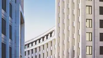 高并发场景下CAS单点登录的深度优化策略，架构解析与实践指南，cas单点登录如何实现一次登陆处处登陆