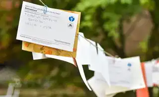 数据安全合规师证书考试内容及备考策略，数据安全合规师证书考试内容有哪些
