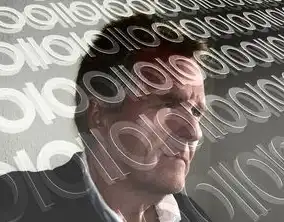 数据仓库，企业信息管理的核心枢纽，数据仓是什么意思啊